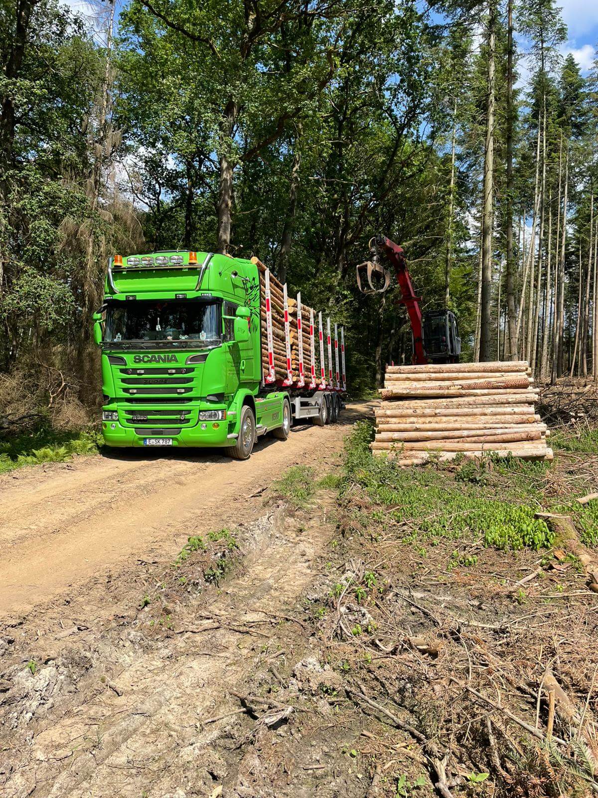 Kettwiger Baumdienst - Holz rücken & Transport